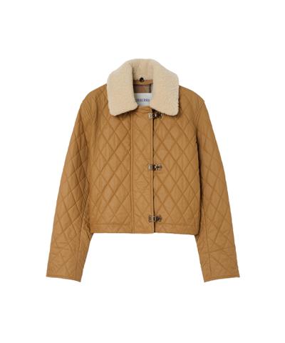 シアリングカラー キルティング コットン ハウルジャケット