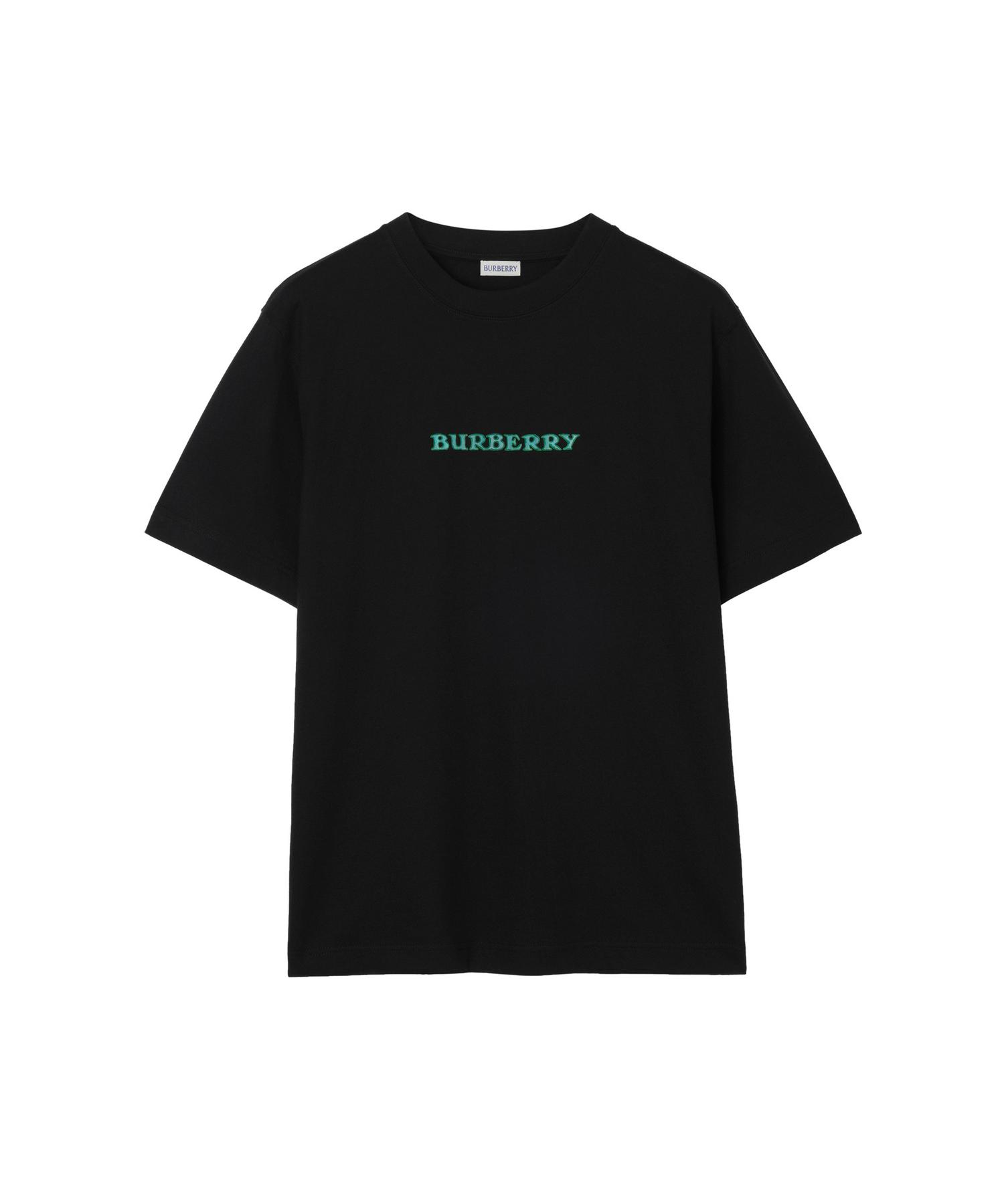 ストライプ ウールブレンドTシャツ(O10774459)｜HANKYU MEN'S / 阪急メンズ