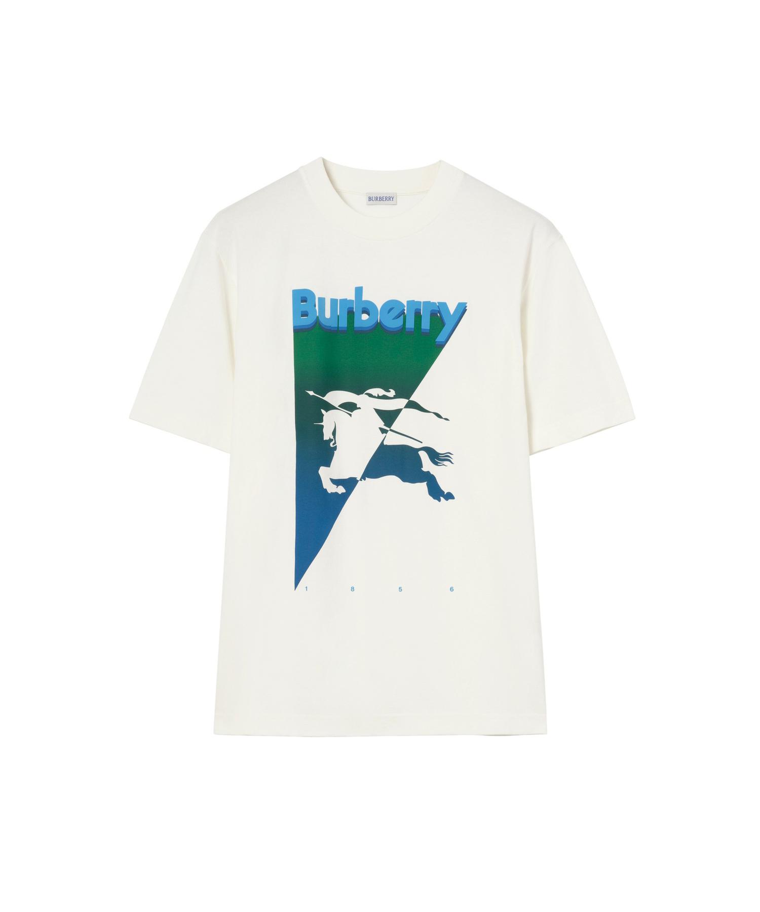 ストライプ ウールブレンドTシャツ(O10774459)｜HANKYU MEN'S / 阪急メンズ