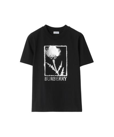 シスル コットンTシャツ