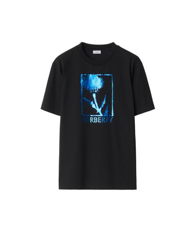 シスル コットンTシャツ