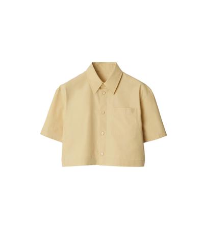 クロップト コットンシャツ