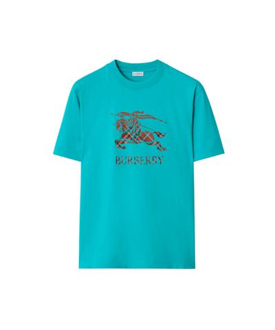 EKD オンブレ コットンTシャツ