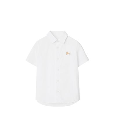 ストレッチコットン シャツ