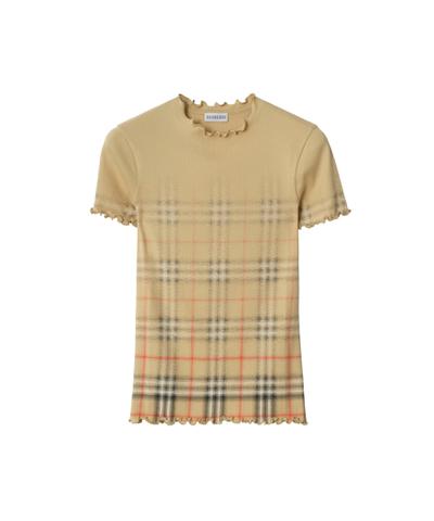 グラデーションチェック ストレッチコットン トップ