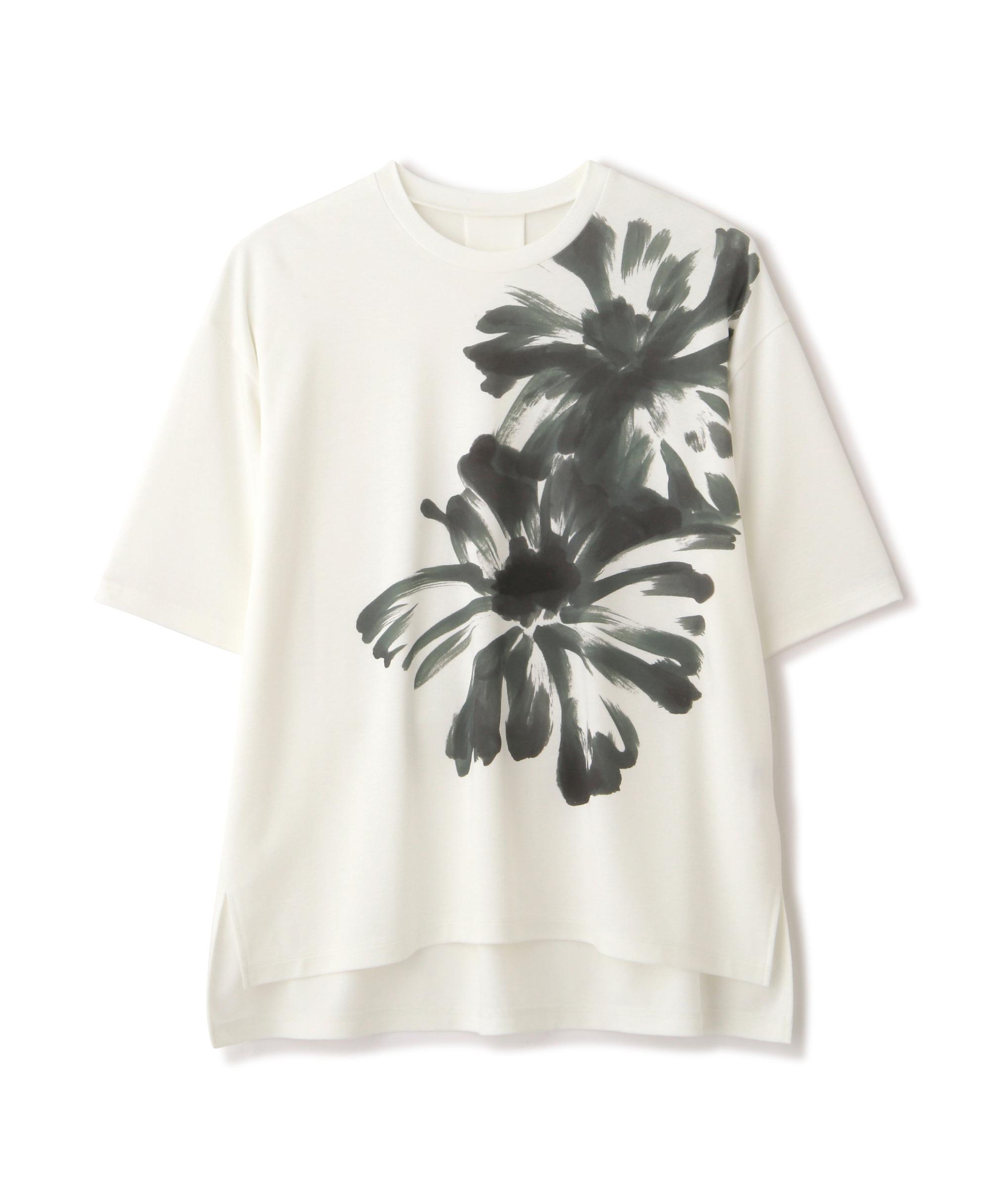 Adore アドーア カットソー トップス Tシャツ 白 ホワイト 透けない クリアハイゲージカットソー | ADORE（アドーア） ｜【公式