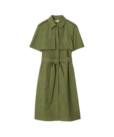 コットンポプリン トレンチドレス