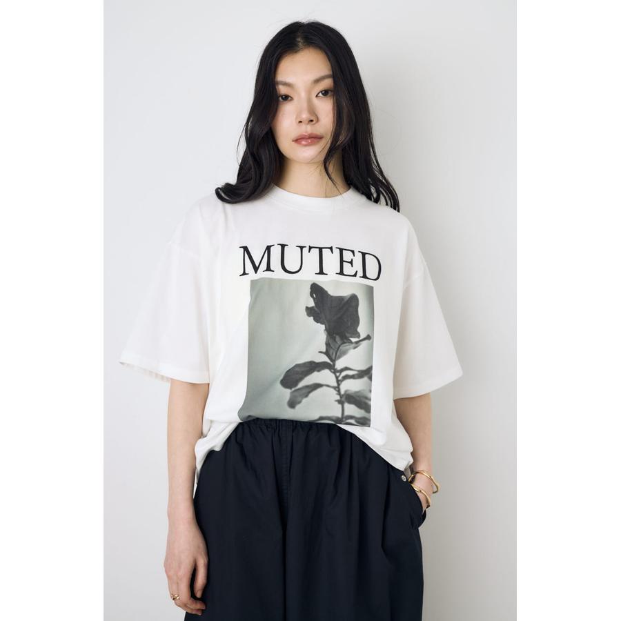 AZUL BY MOUSSY | AZLW0024520